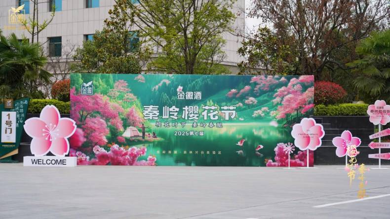 2025第七届金徽酒秦岭樱花节启幕