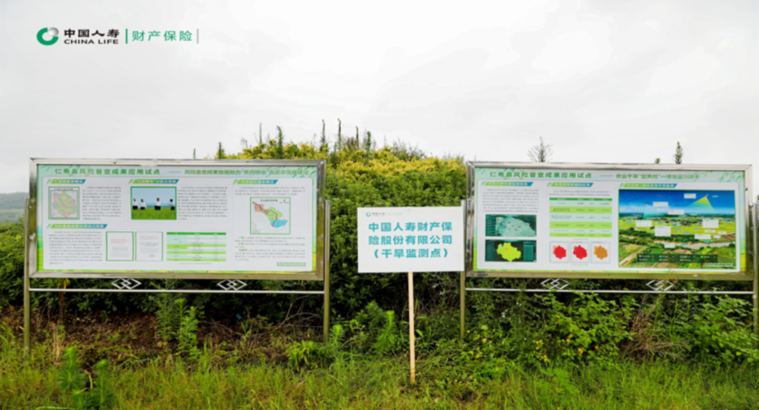 中国人寿：全力发挥保险经济减震器和社会稳定器功能