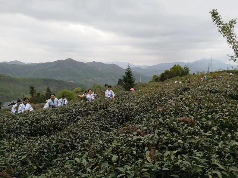 兴业银行西安分行：砥砺奋进结硕果 乘势而上启新程